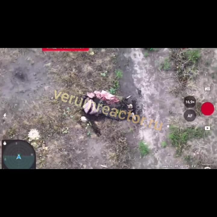 ����� 72 ����� 3 �� ����� ����������� ����� ����������� ��������� �� 93 ���� ��� "������ ��"