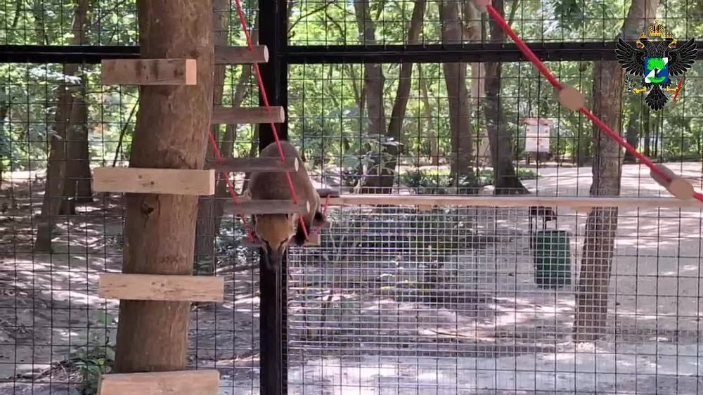 � �������-���� ���������� � � ���������� �������� ���� ������� �����