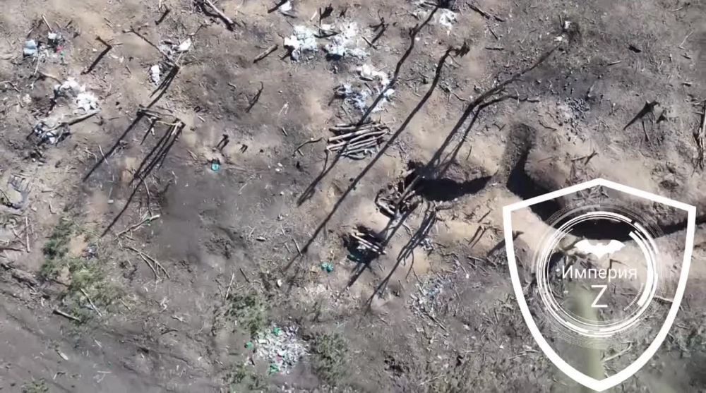 ���� �������������� ���� ���������� �� ���������