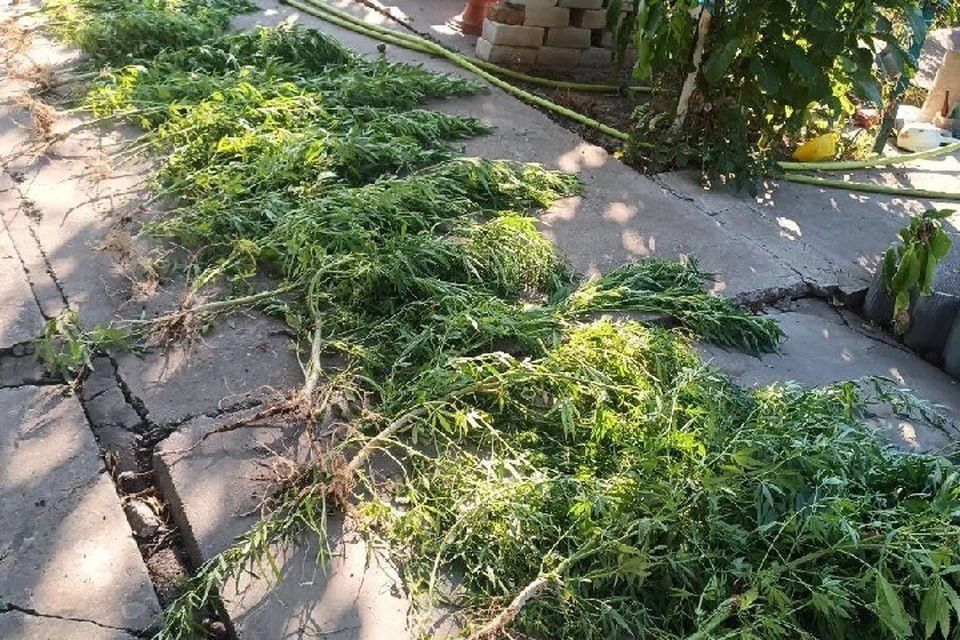 � ���������� ������� ������� ������� �� ��������������� �������