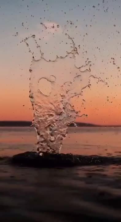 ������ �����. ���� �������� ������!