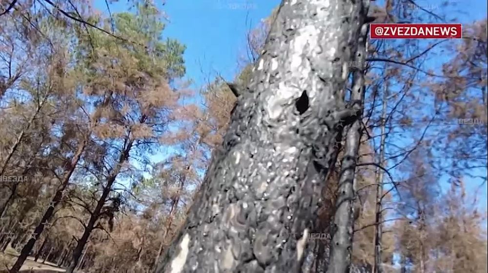 ��� ������������ ���� � ���������� �������, ����� �� �������, � ���� �� ����� ����� �� �����-�� ���������� �����, ���������� ������� ������������