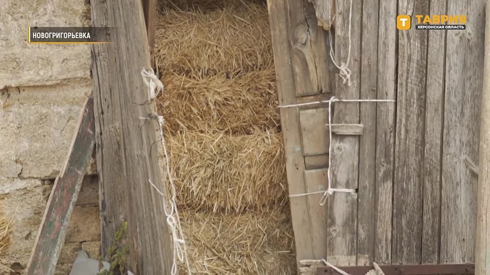 � ��������������� �������� ������������ � ���������� ������� ������ �����