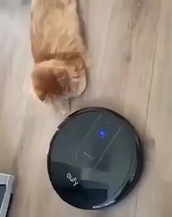 ��������� ����!. ��������-����� ���������� �������