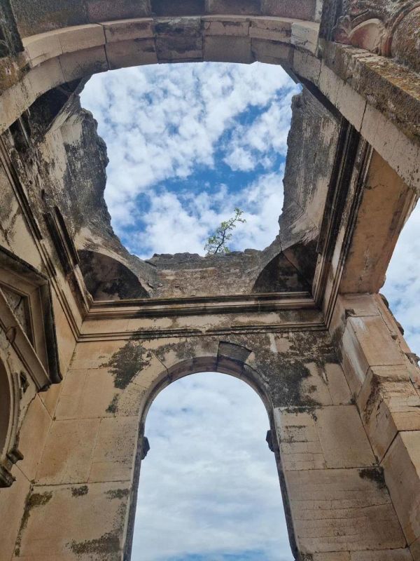 �������� ����������� ������������ ������������ �������� �������� ��������� �����-������