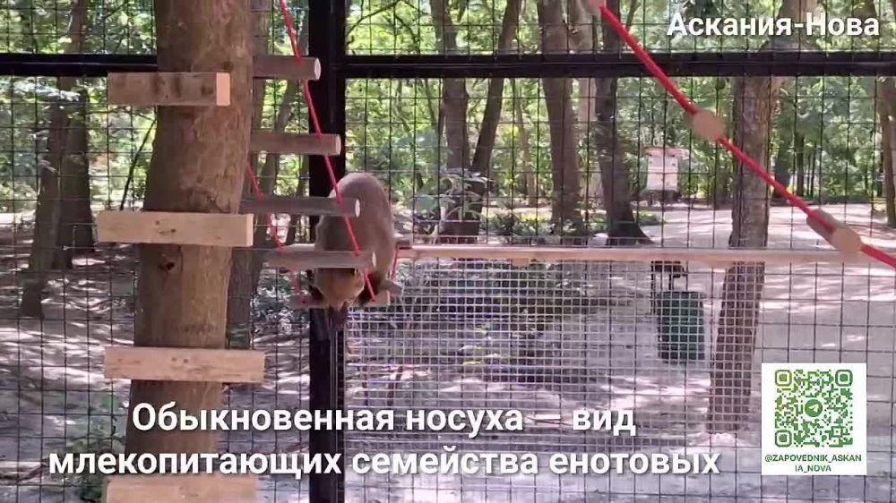 ����� ����������� ������