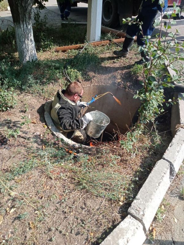 ��������� ����������� ��������������� ������������� � ���� ��������