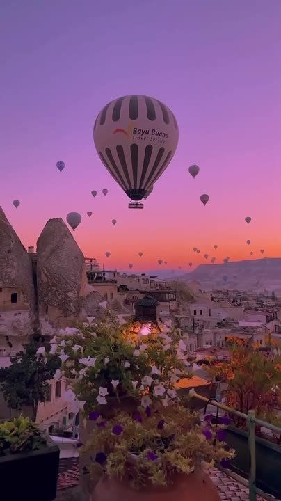 �������� ����������