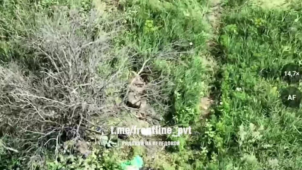 � ��� ��������� �����. �������� ������ �����, ��������