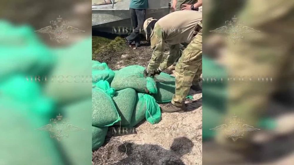 � ���������� ������� ������������ ��������� ������������� � ���������� ������ ��������