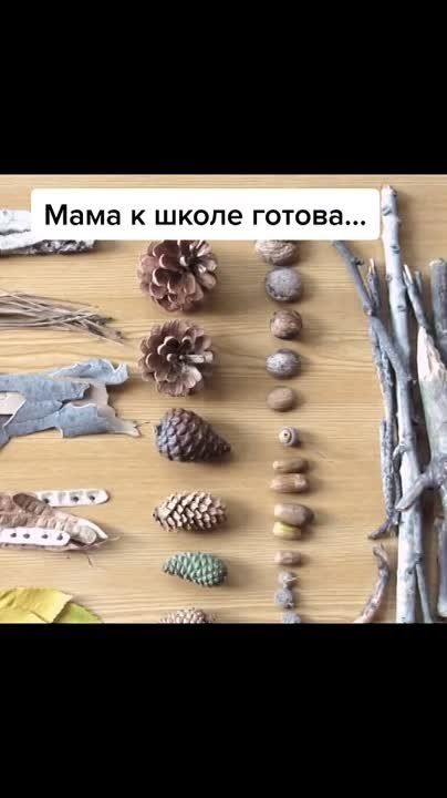 � ����� ������?. �����������, ������ ����������� #������������