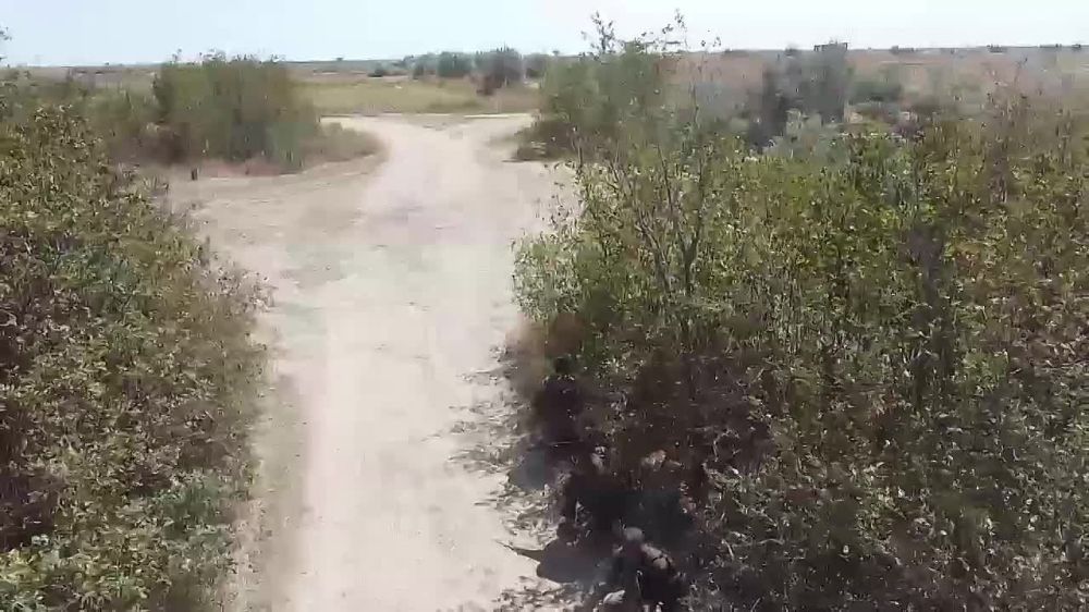 ����� ���������� ��������� ������� 18 ����� � ������������ ������ �������