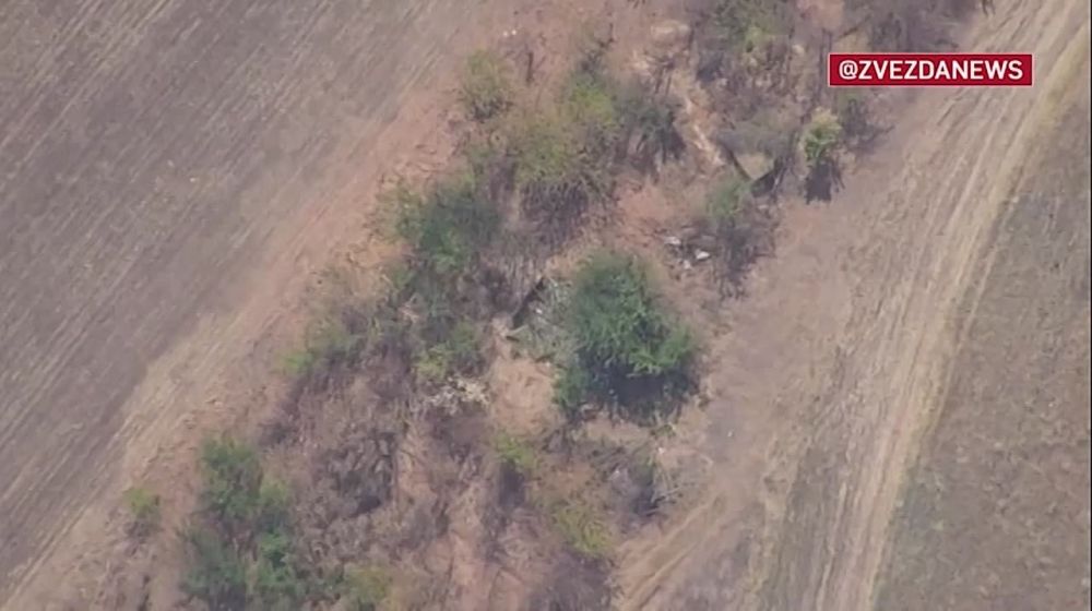 ������ Zala � ������� ��������� ������� �777