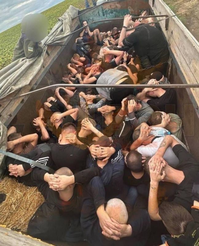 ������� ������ ��������� ��������� � �������� �������