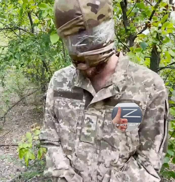 ������ ���� ����������� � �����, ������ �������, ����� ����� � ��������� ����������