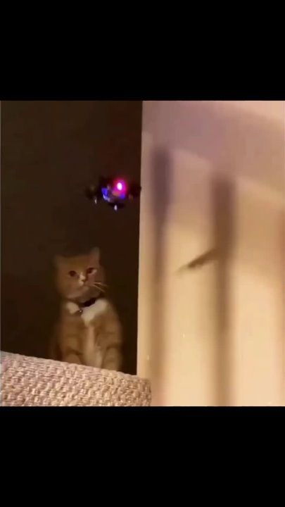 ��������� ����!. ��������-����� ���������� �������