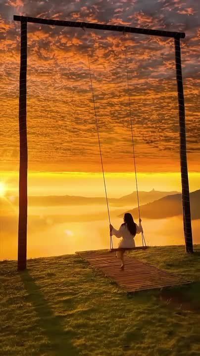 �������� ����������