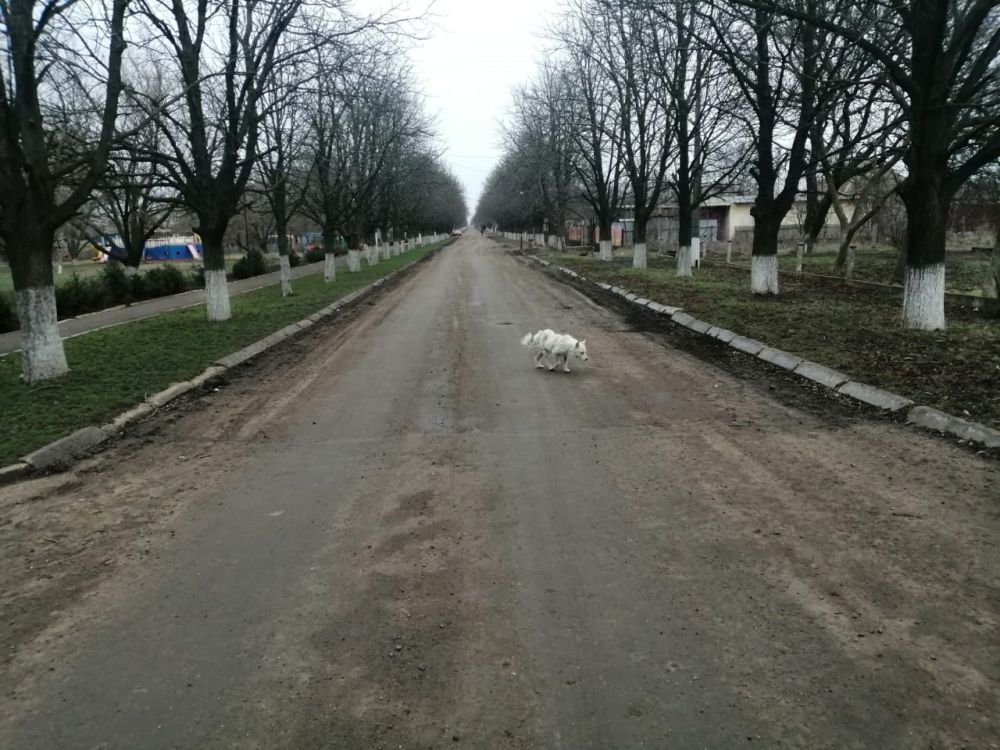 ��� �������� ����� �������� �������������� � ���������� �������, ���������� ���������� �� ���� �� � �����