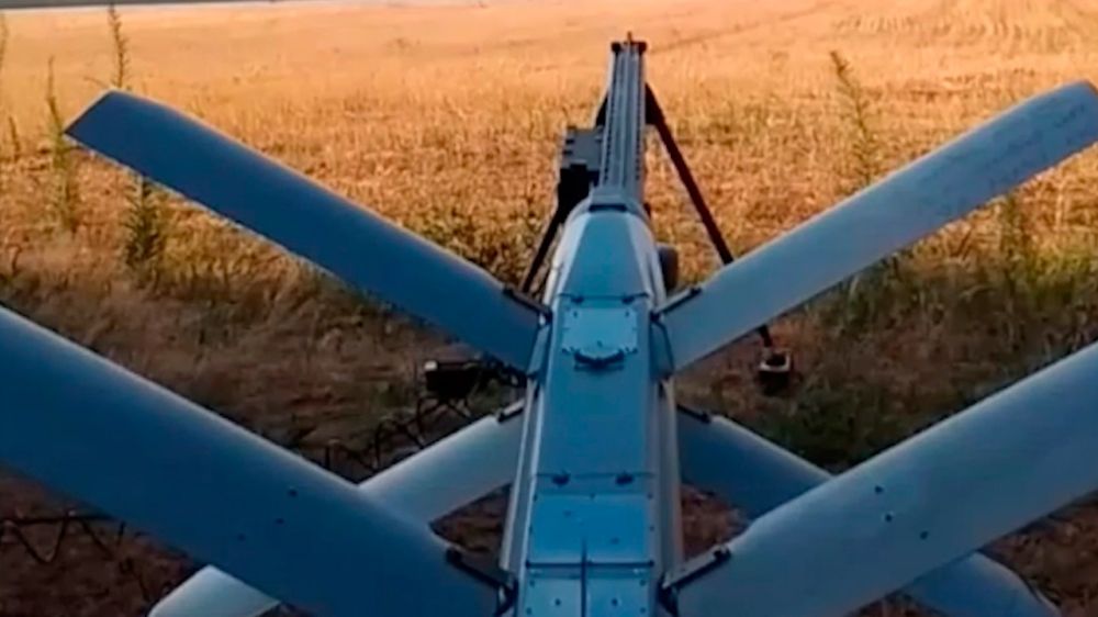 ������ Zala � ������� ��������� ������� �777 � ���������� �������