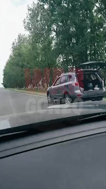 �� ������ ������, �� ���������� ���������� WarGonzo � ����, � ������� ������� ��������� ��������� �� ������ ������ �������� ������������, ������� ��������� ������ ���������� ������ � �����������, ����������� � ��� � ������ ��������� �������