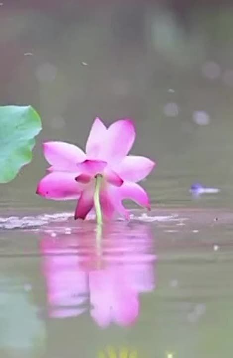 ��� �������, ��� ���� ������?