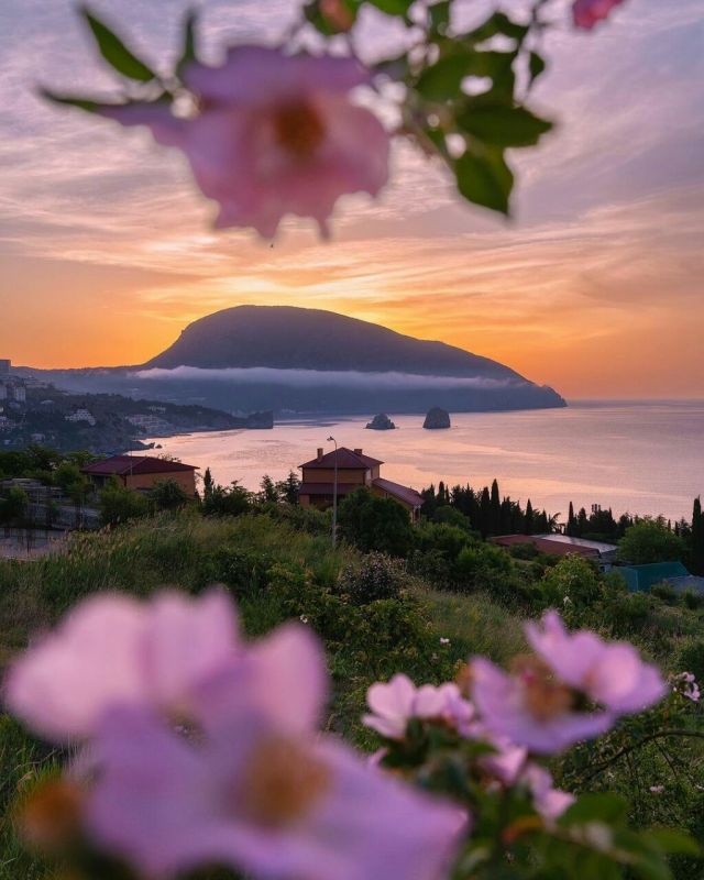 ��� �� ������, ���������� �����, �����-������� �������, ����� �������� (��� �� ��������, ����������� ����� ������), ����� � �������-����