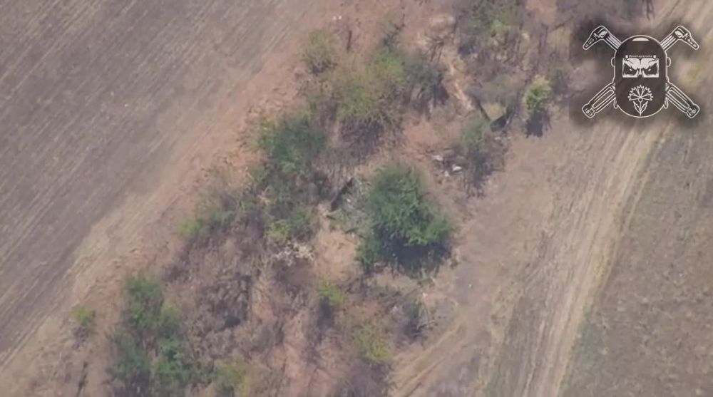 ���� �� �������: � ��� � ����� ����������� ������ ���������� �������, ������� ������ � �������� ������