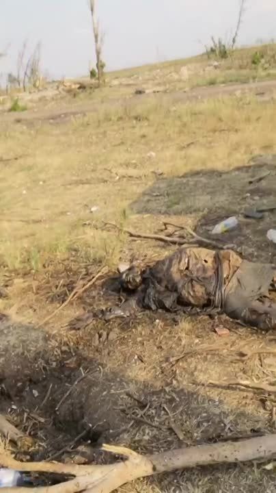 ������������ ������������ ��� �2�2 Bradley �� ��������� ���������� ����������