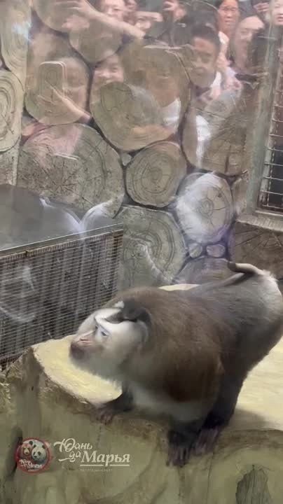 ���, ������� ��������