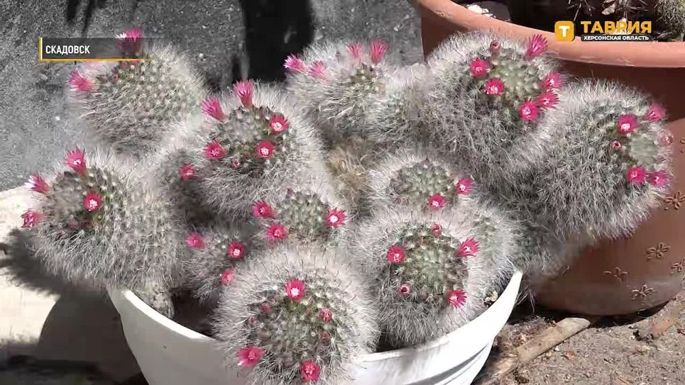 ����� ����������: ���������� ��������� ������� � ���������: ���������� ��� ������ ��������