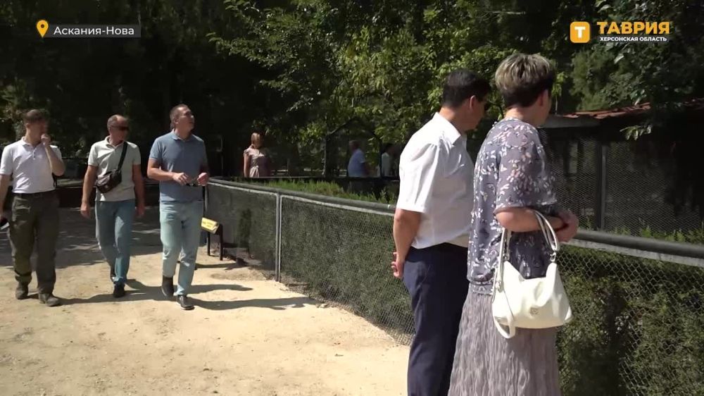 � ������ ����� "��������� �������� ������" � �������� ��������� ����� 4 �����, ����������� ����������� ����������� "�������-����"