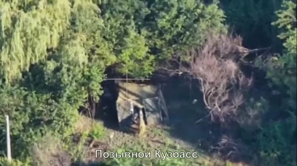 ����� �����: ���������� �����������