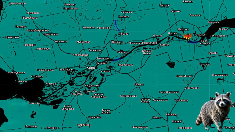 ���� �� �������: ������ ����! ����������� ����������: