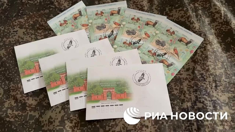 ��������� ������� ������ ���������� �����, ������� ��������� ����������� ��������-���� � ���������� �������, ������ � ���������-���� �����������