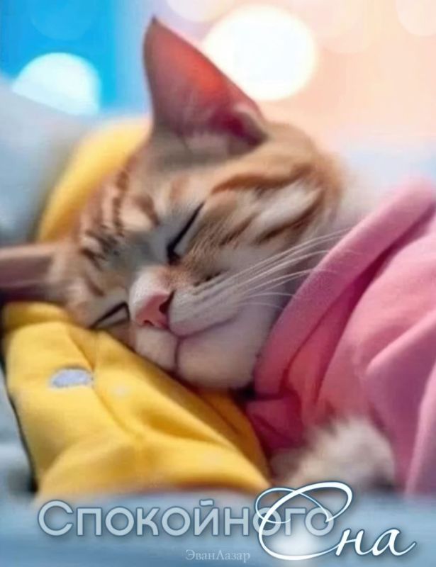 ������, �� ����� ����� ��� ���