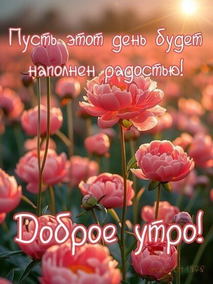 ������ ����)