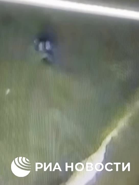 ����� � ����������� ����, ��� �������� ������ ����� ���