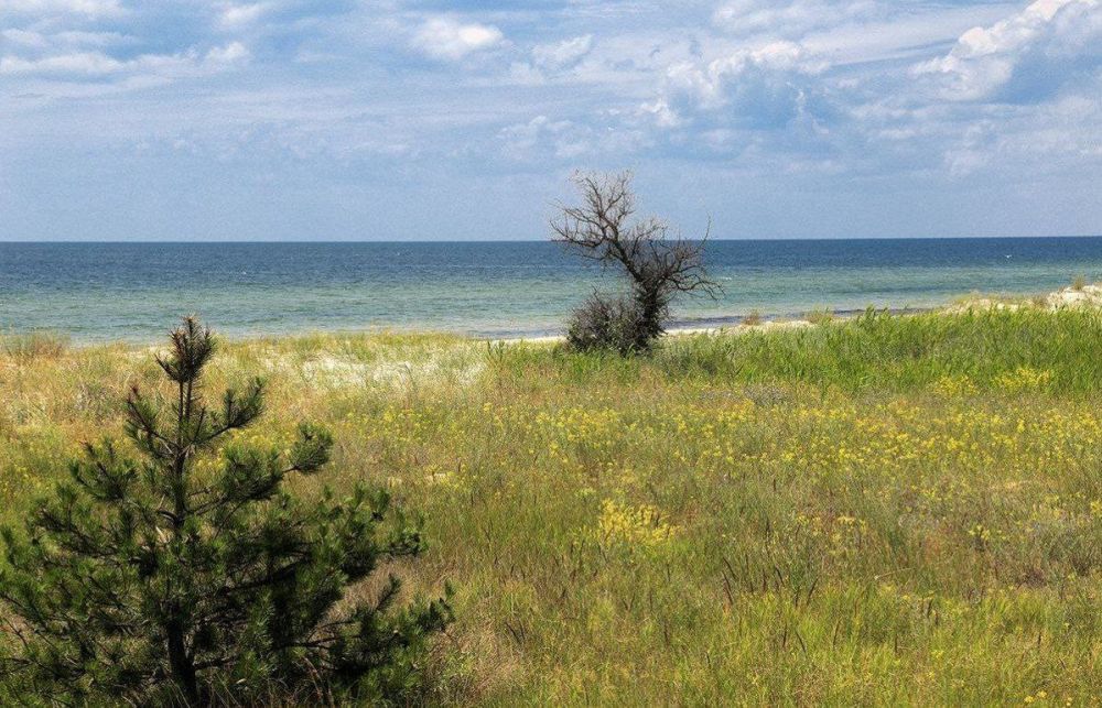 �������� ������: ������� ����� ������ ����� ���� ���� ������� � ������-����������� ������ ������� ���������� ������������ ���������� �� ����������� ����