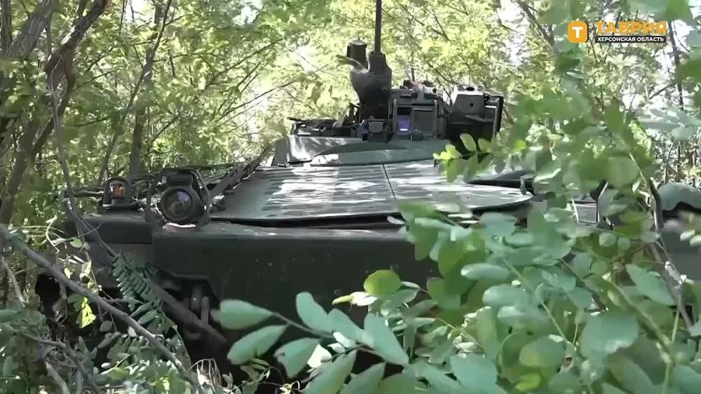 �� ���������� ����������� �������������� ����������� ����� "�����" ������������ �������� �������� ��� "������" ��� � ������� ���