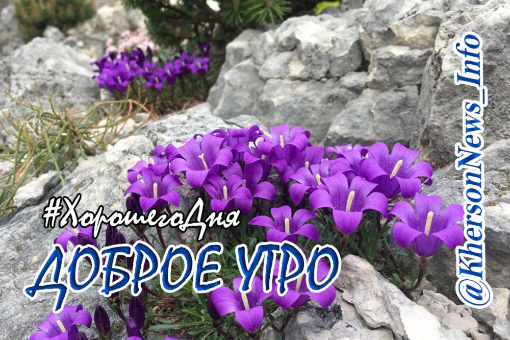 � ���������, ������!. �� ������ ���������� � ���� �������� � ���������� �������, ������ ��������� �� ������������ �� ���� ������