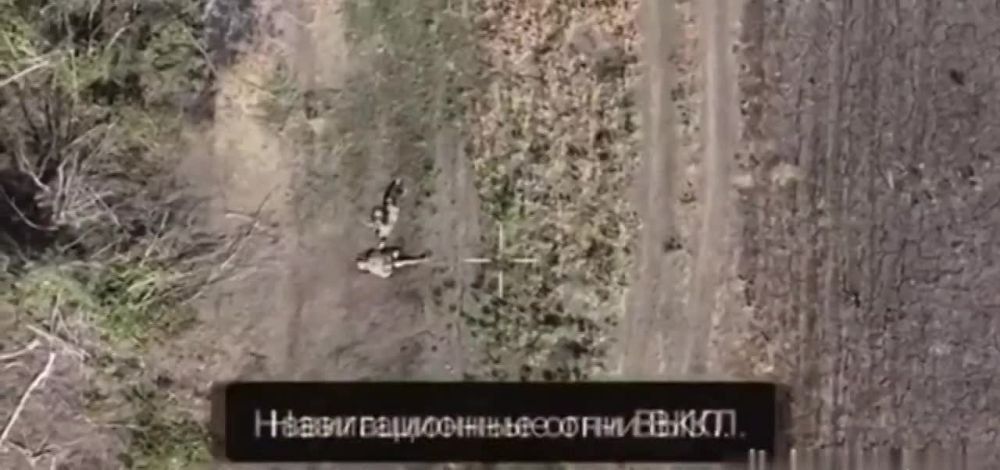 ���������� ��������� ���� ���������� ���� ���������� ��������������