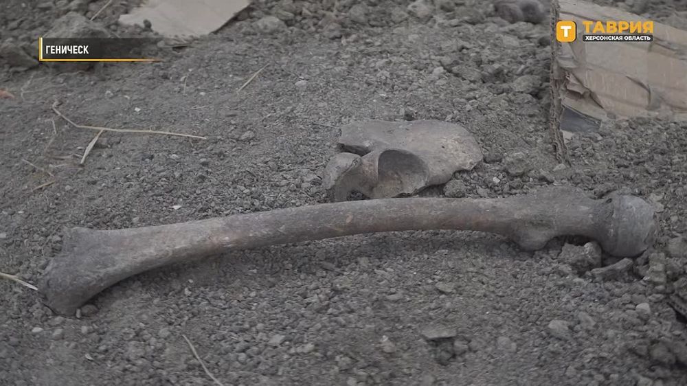 �� ���������� ������������ ���� ������������� �������� ��������� �� ������� �������� � ���� ������� ������������� �����