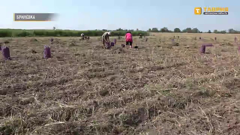 � ���������� ��������� ���� ������� ������������ ������ ���������� � ������ ���������