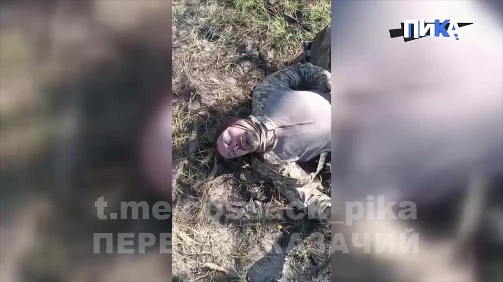 ����� �����: ������� ����������� �������� � �� �����������, ��������� ��� ���������� ������� �� ����������� ���� � ���������� �������