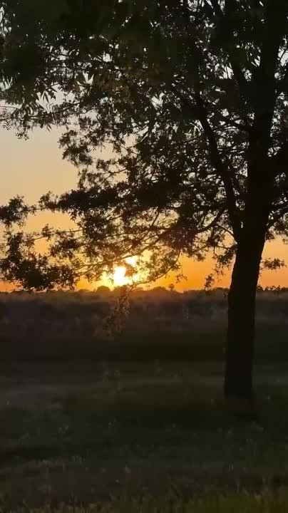 ��������� �������� ����������