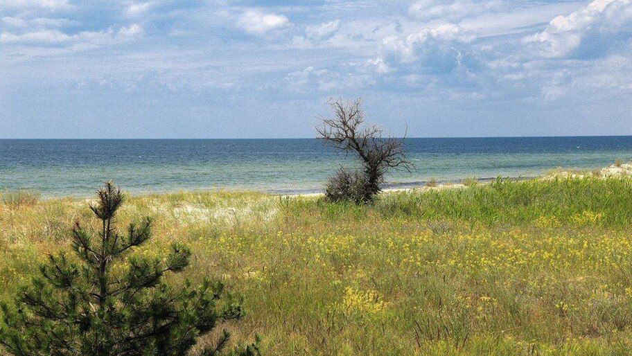 ���������� ���� �������� ���������� ������� ������� �� ����������� ����