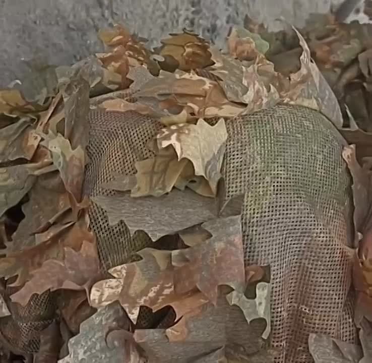 � ����� ��������. �������� ��� � ������� ������� ������������ � ������ ���������� �����