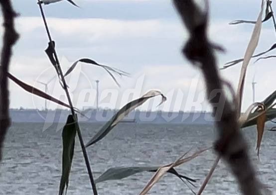 ����� ��� �������� �������� ������ �� ����������� ���� � ����� ���� ������