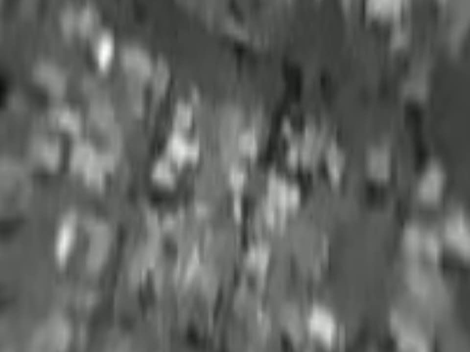 ������. ����� ���������� ����������� "�����" ��������� �� ���� ����������, � ������� �������� ��������� ���