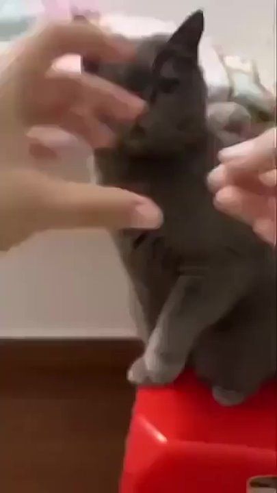 ��������� ����!. ��������-����� ���������� �������